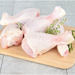 PILONS DE POULET IHOUD x10Kg