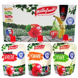 12 GOURDE DE FRUITS MIXTE X...