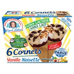 CONE VANILLE NOISETTE MH...